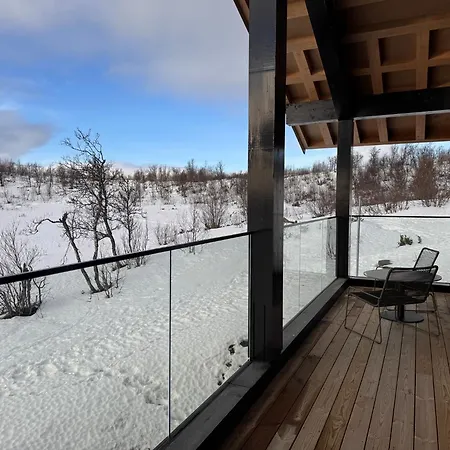 Kikut Alpin 1301 Hol (Buskerud)