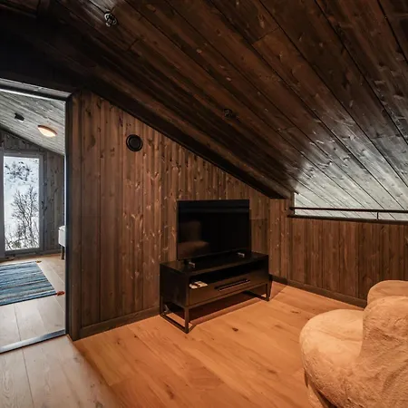 Kikut Alpin 1301 * Hol (Buskerud)