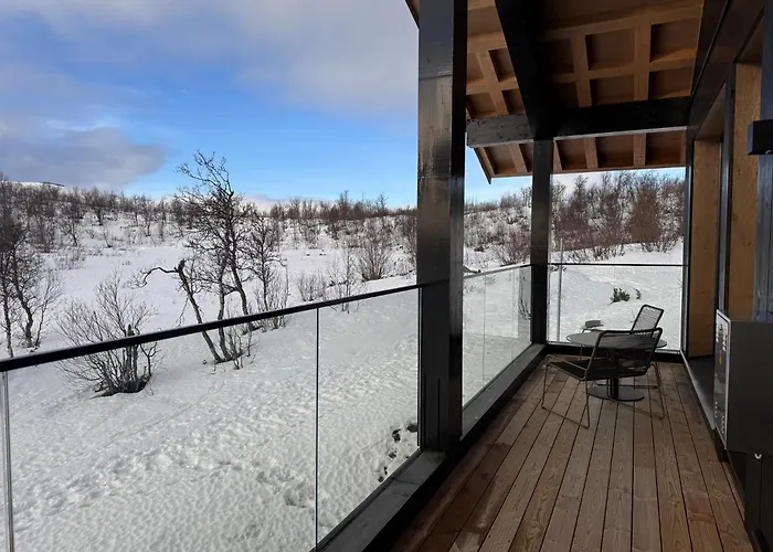 Kikut Alpin 1301 Hol (Buskerud)